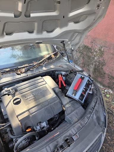 Autophix Recovery β Customer photo